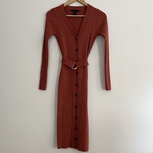 Forever21 auburn sweater dress